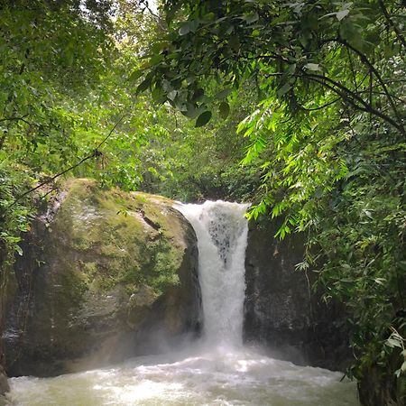 Rio Tico Safari Lodge Punta Mala Dış mekan fotoğraf