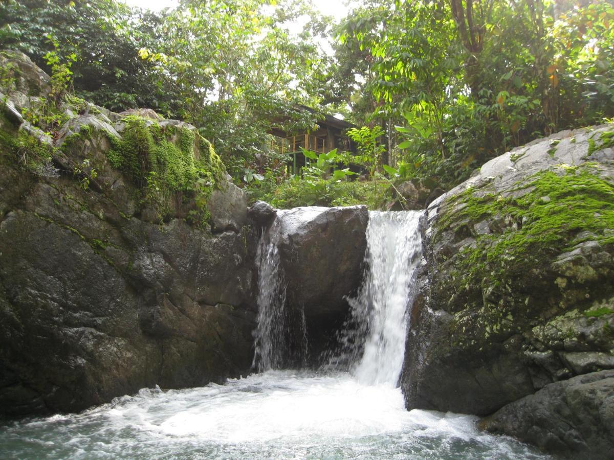 Rio Tico Safari Lodge Punta Mala Dış mekan fotoğraf