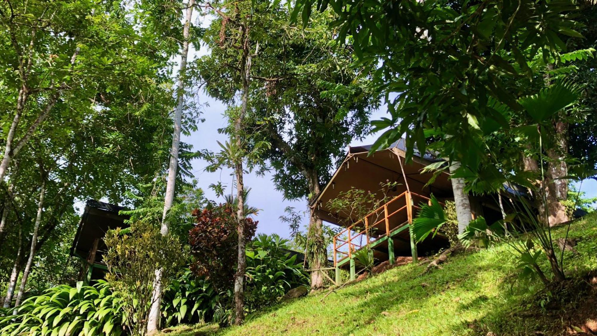 Rio Tico Safari Lodge Punta Mala Dış mekan fotoğraf